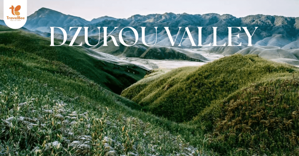 Dzukou Valley Tourism