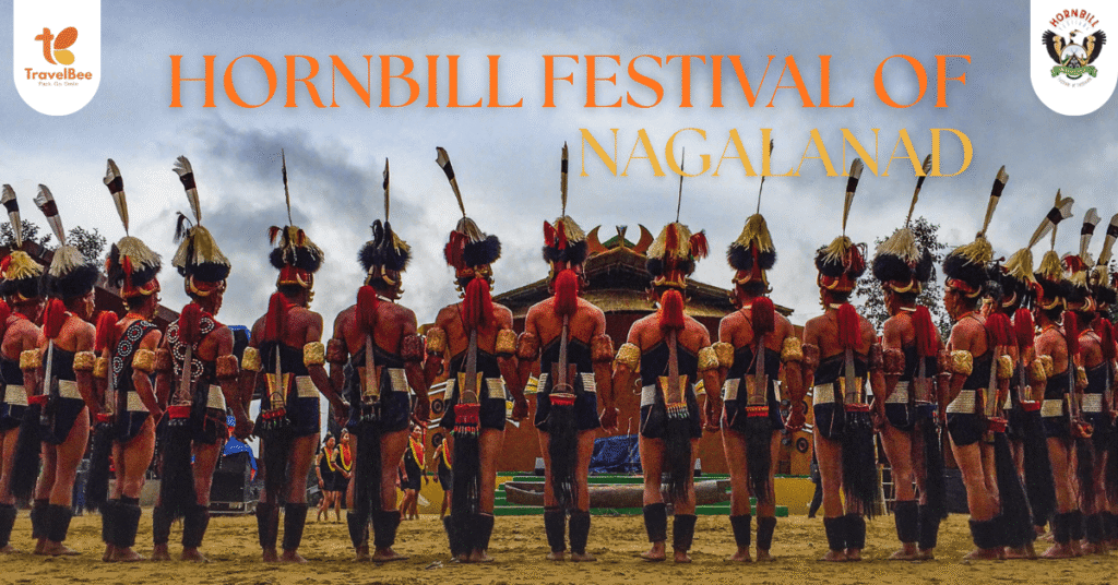 HORNBILL FESTIVAL OF NAGALANAD