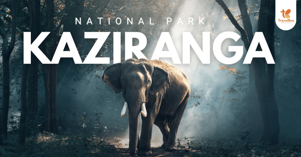 Kaziranga Travels